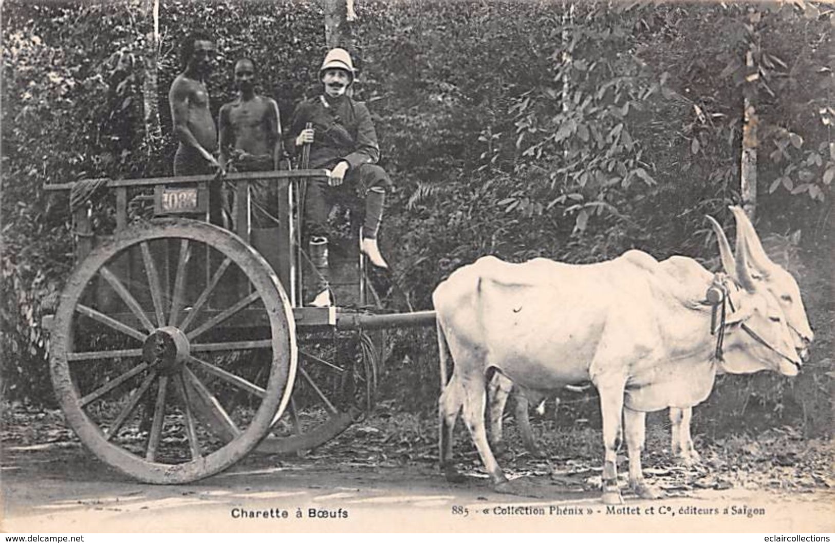 Thème Loisirs  Agriculture. Battage. Moisson .Tonkin . Charette A Boeufs    (voir Scan) - Wagengespanne