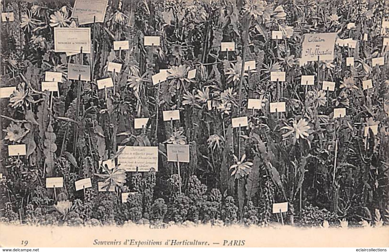 Thème Loisirs  Agriculture. Battage. Moisson .  Horticulture  Exposition Paris     (voir Scan) - Wagengespanne