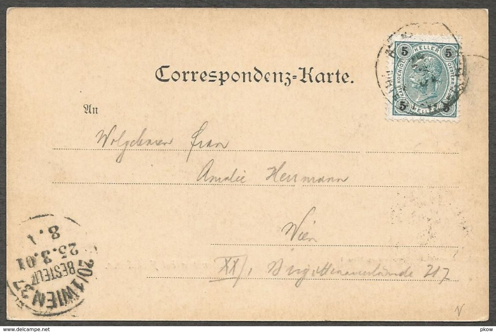 Rabenstein Bei Frohnleiten. Karte Aus 1901, Nach Wien. - Frohnleiten