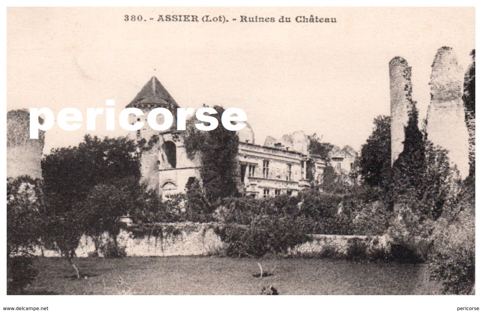 46  Assier  Ruines Du Chateau - Assier