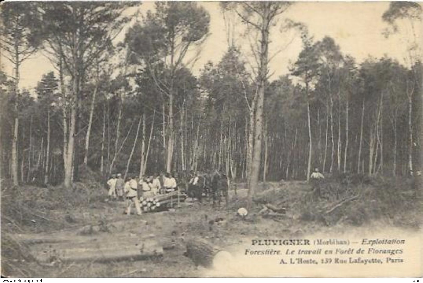 PLUVIGNER, Le Travail En Forêt De Floranges, RARE - Pluvigner