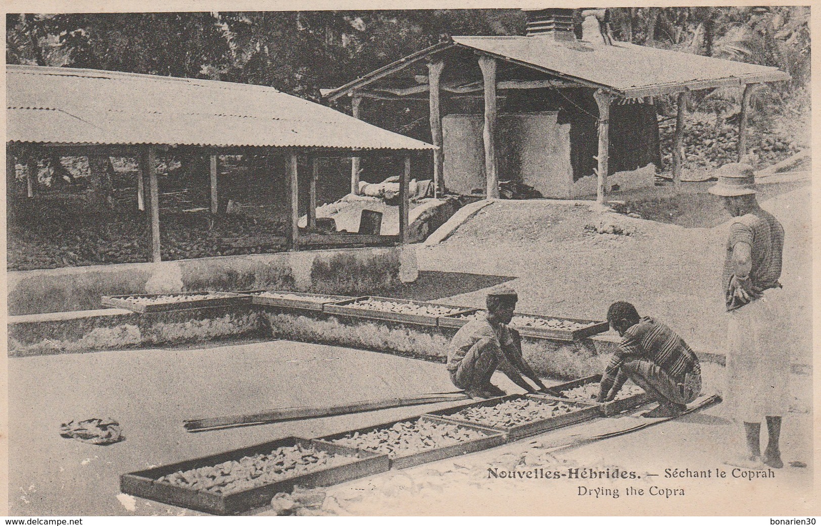 CPA NOUVELLES HEBRIDES SECHANT LE COPRAH DRYING THE COPRAH - Vanuatu