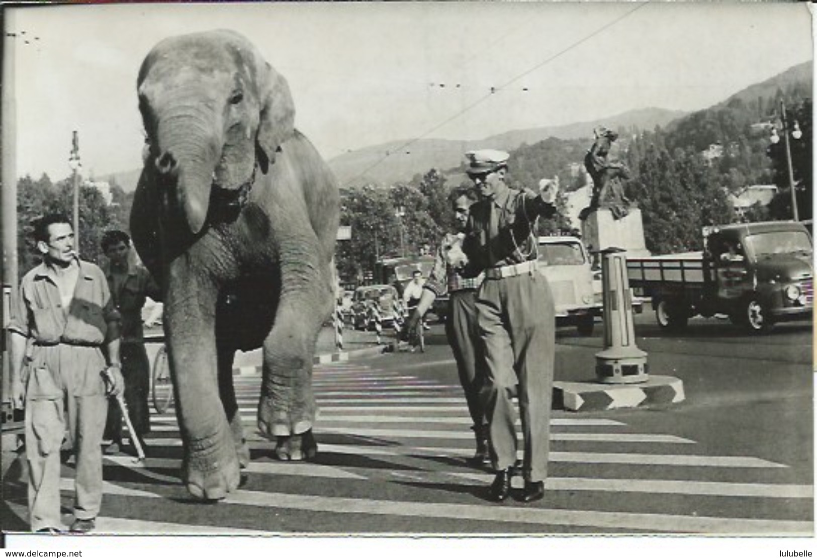 JUMBO AU DEPART DE TURIN VA FRANCHIR LA ROUTE DES ALPES - EQUIPE CONDUITE PAR  JOHN HOYTE - PHOTO PRESSE 19.07.59 - Berühmtheiten