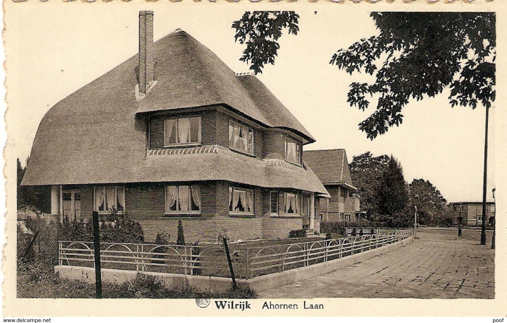 Wilrijk : Ahornen Laan - Andere & Zonder Classificatie