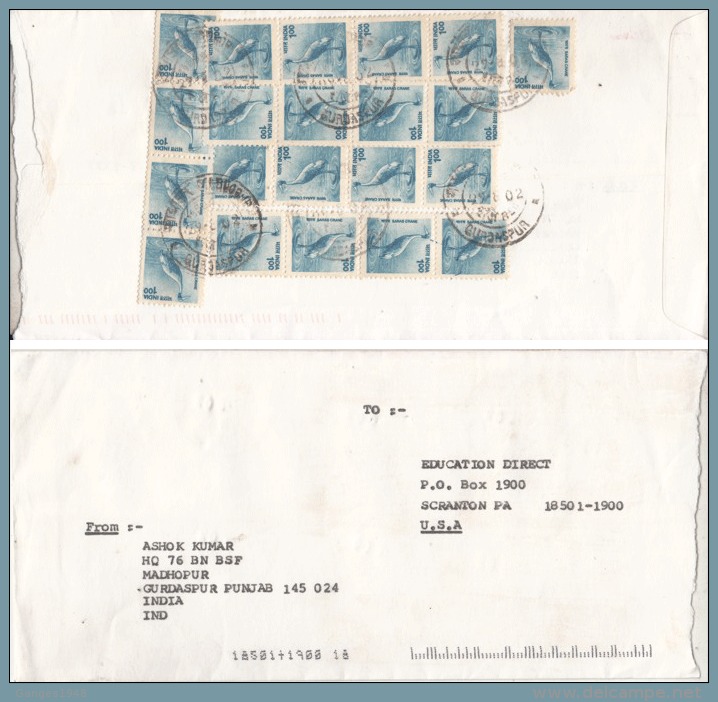 India  2002  Cranes  Birds  21 Stamps  Mailed   Cover  To  U.S.A.  # 00964  D    Inde  Indien - Cranes And Other Gruiformes