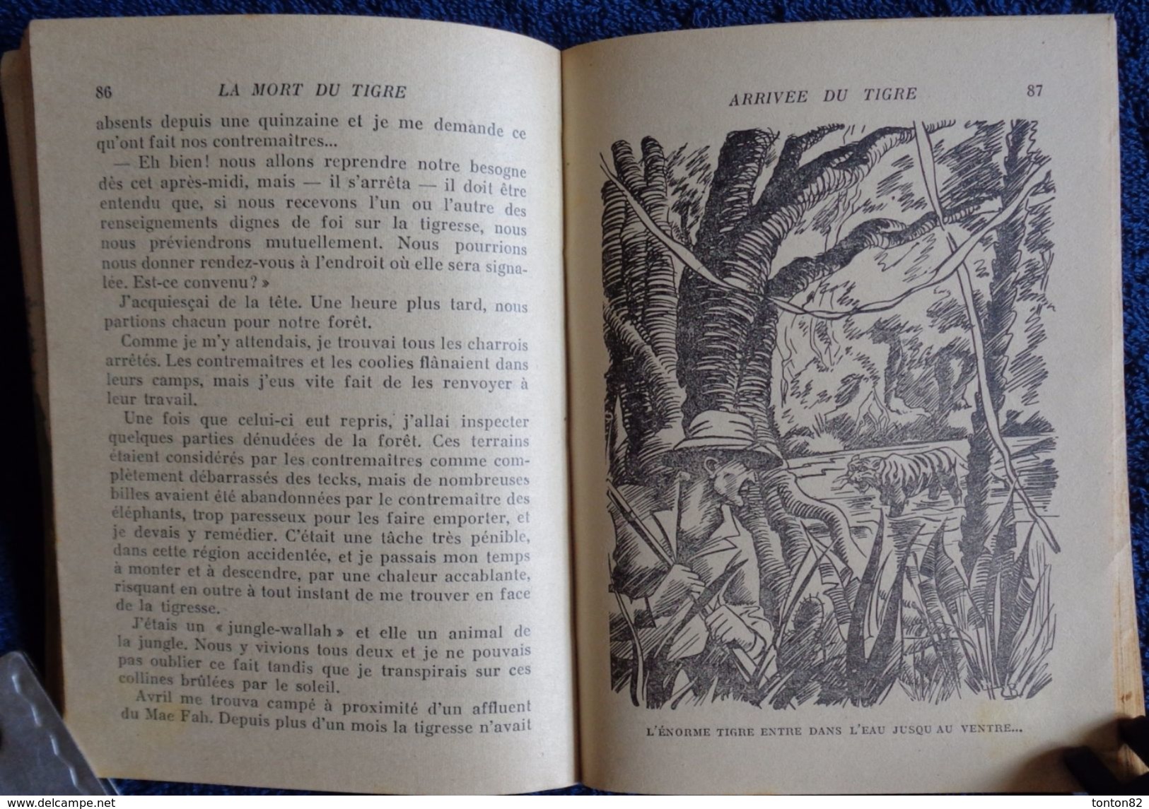 Reginald Campbell - La Mort Du Tigre - Bibliothèque De La Jeunesse - ( 1950 ) . - Bibliotheque De La Jeunesse