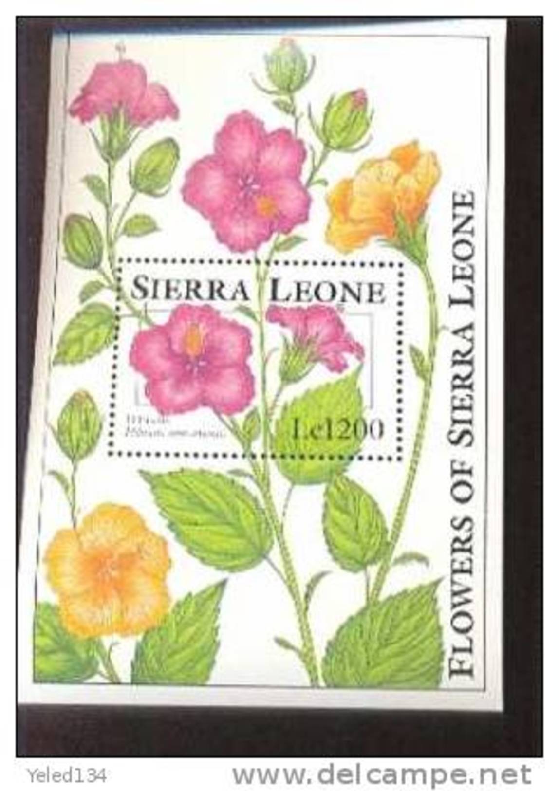 SIERRA LEONE  1671  MINT NEVER HINGED SOUVENIR SHEET OF FLOWERS - ORCHIDS   #  726-3   ( - Autres & Non Classés