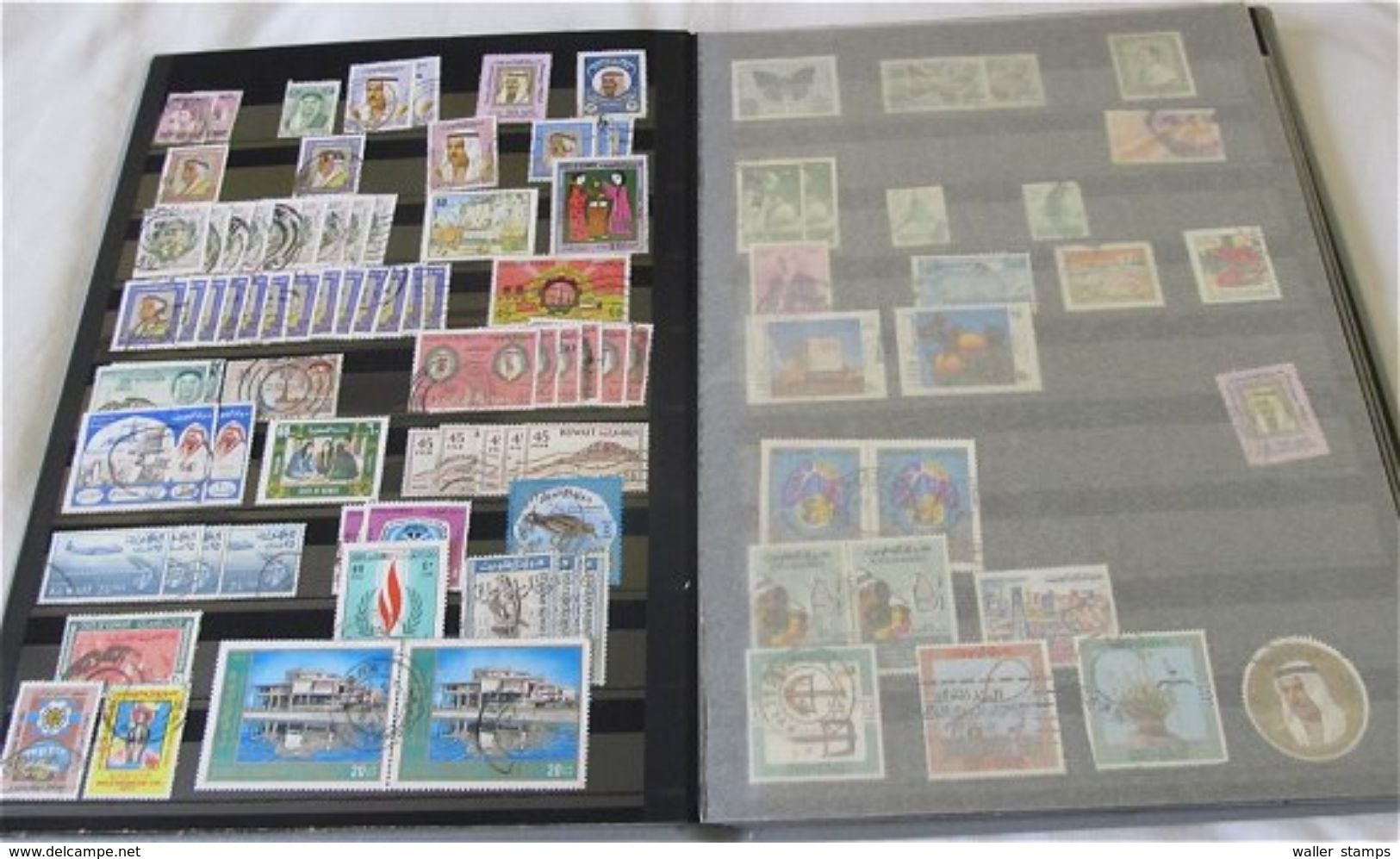 Lot With Stamps In 6 Albums