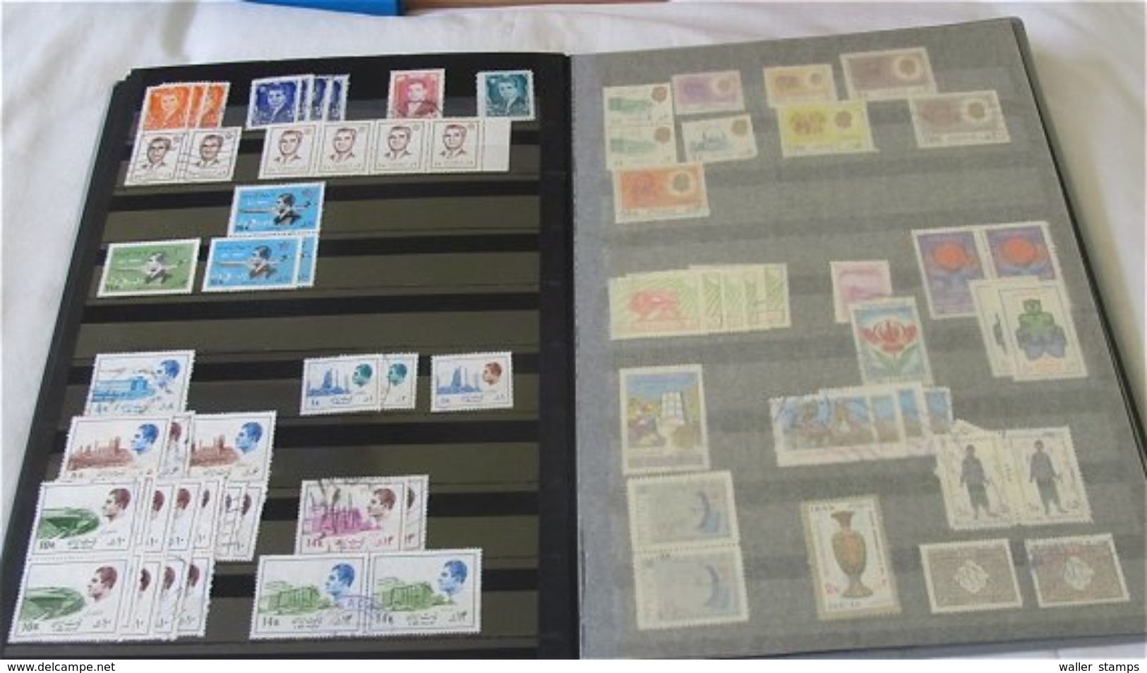 Lot With Stamps In 6 Albums