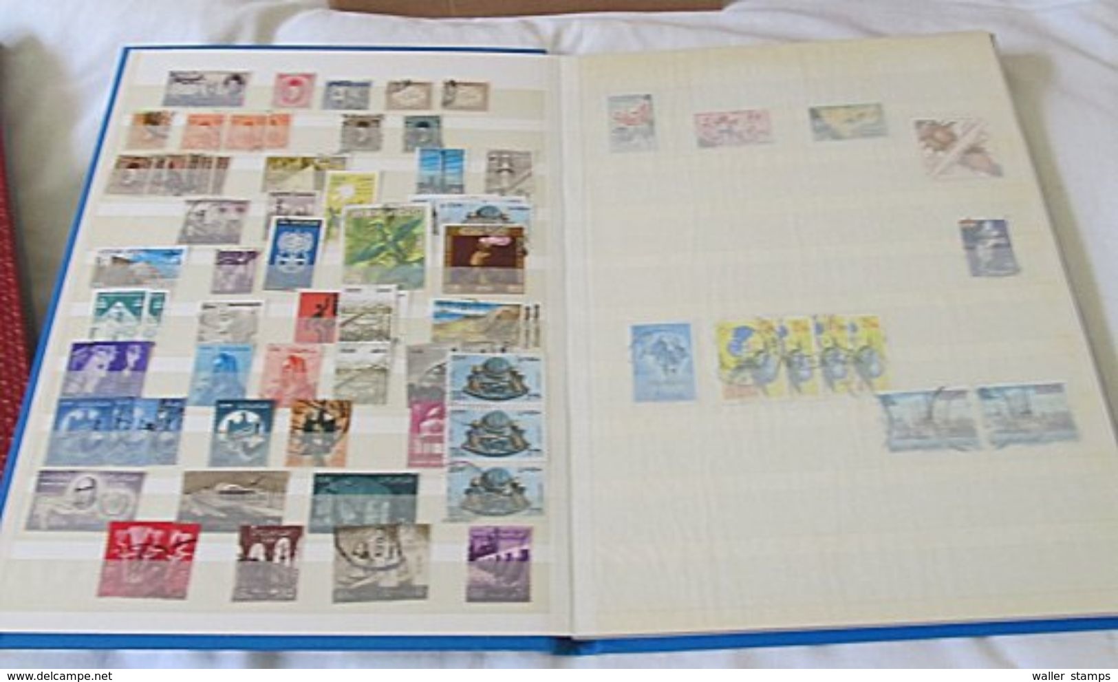 Lot With Stamps In 6 Albums