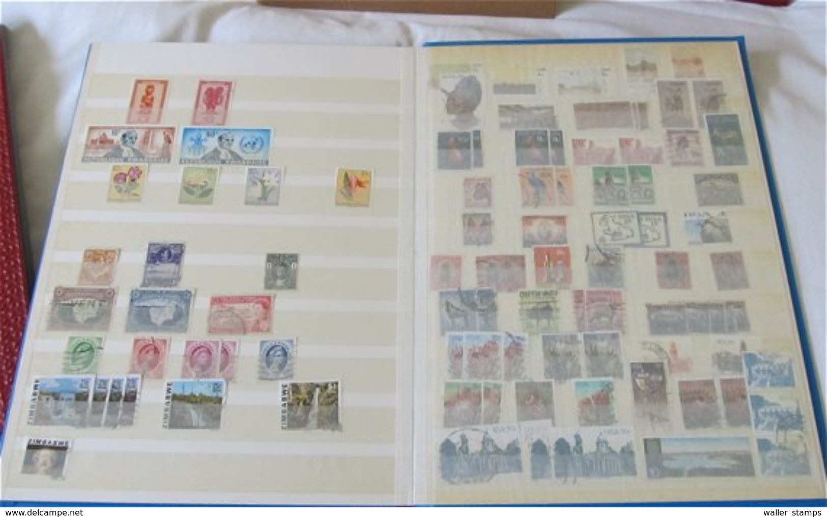 Lot With Stamps In 6 Albums