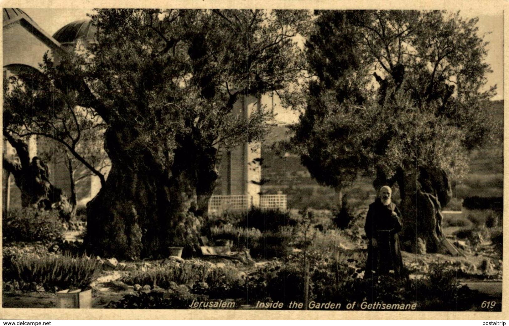 Jerusalem Inside The Garden Of Gethsemane - Israel