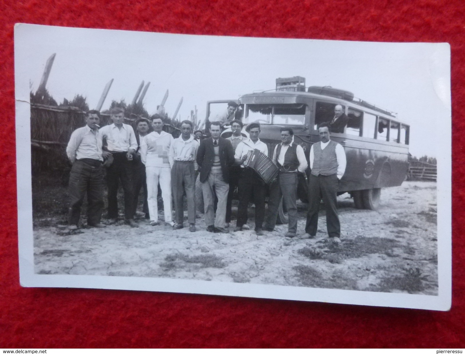 AUTOCAR AUTOBUS CHATEAURENARD ACCORDÉONISTE PHOTO 11 X 7 - Automobili