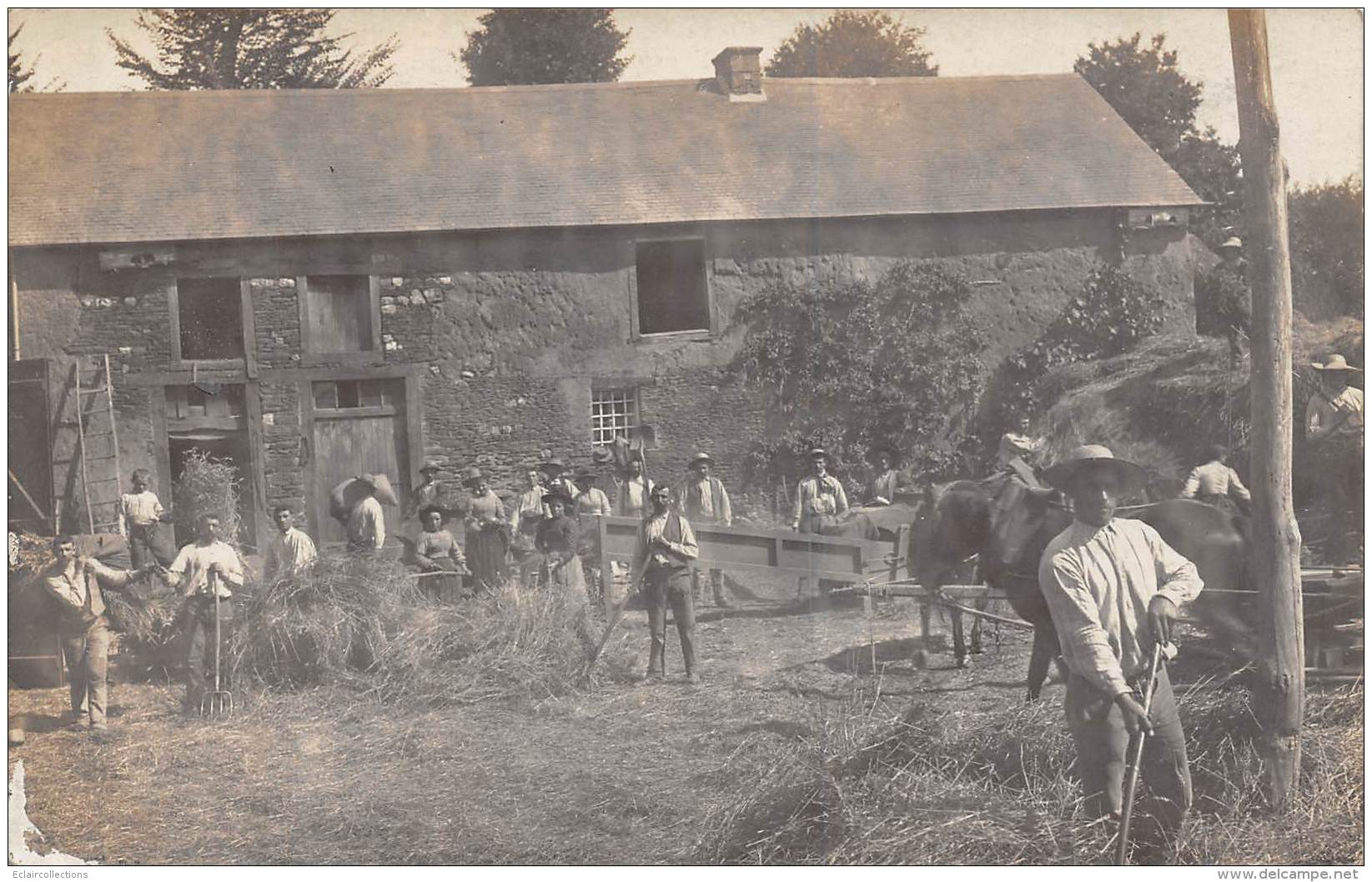 Thème: Agriculture. Battage. Moisson: Battage Dans Une Ferme Carte Photo A Bourrien 22   (voir Scan) - Bauernhöfe