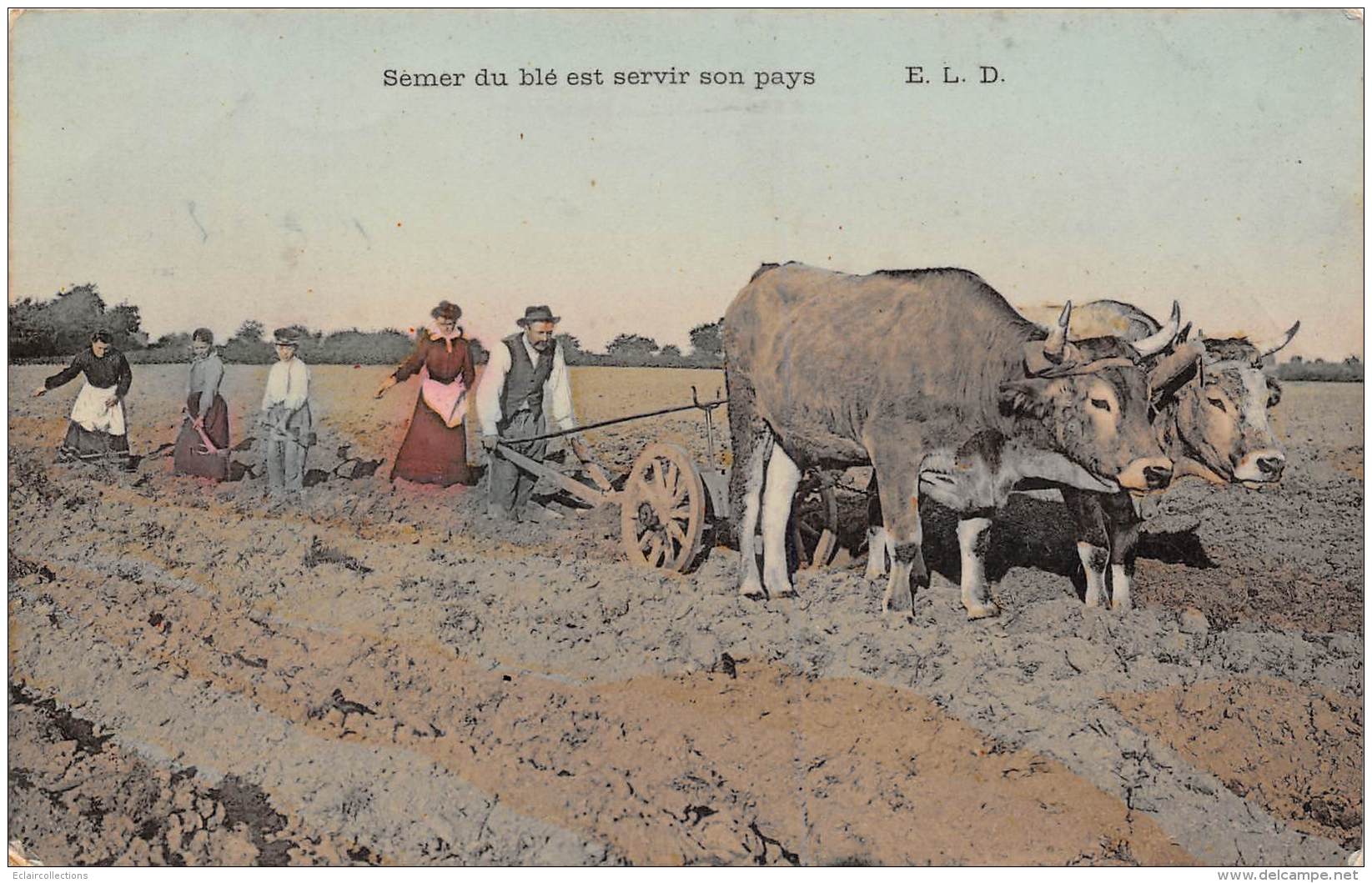 Thème: Agriculture. Battage. Moisson:  Semer Du Blé Est Servir Son Pays  Attelage De Boeufs  (voir Scan) - Cultures