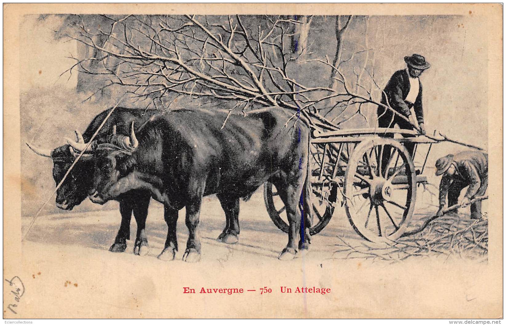 Thème: Agriculture. Battage. Moisson:    En Auvergne  Un Attelage  (voir Scan) - Cultivation