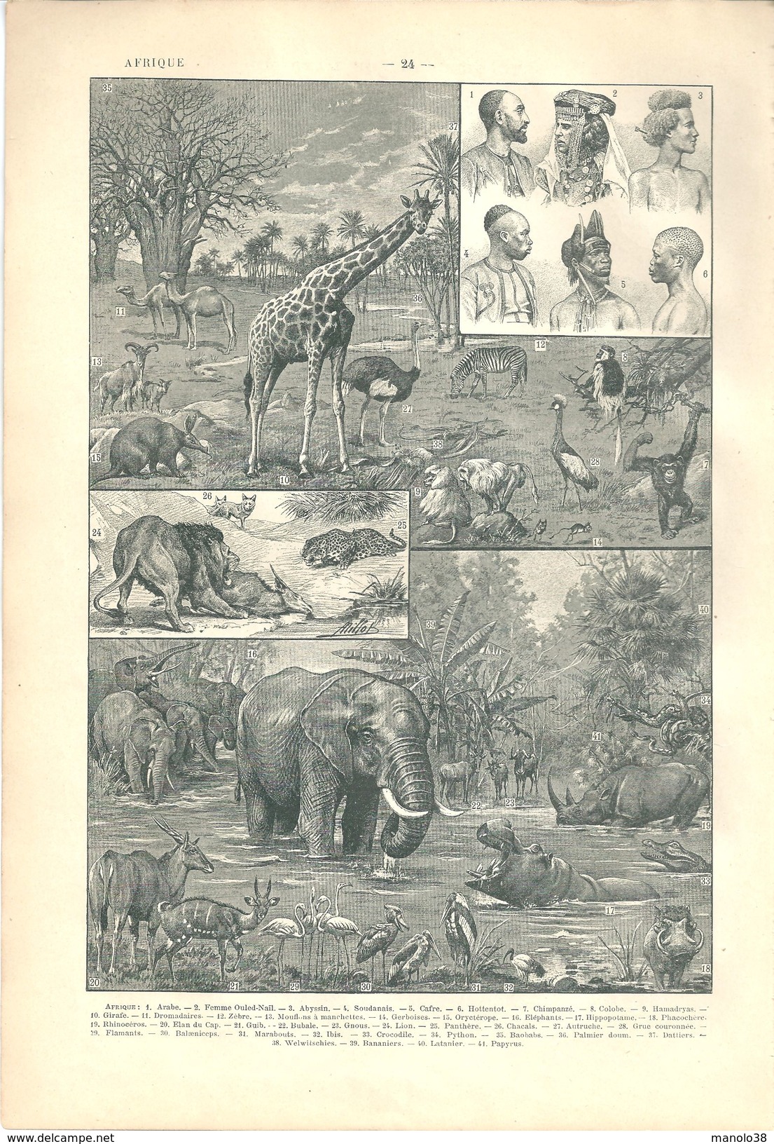 Carte Générale De L'Afrique (recto) Illustration Sur L'Afrique (verso) Larousse 1907 - Non Classés