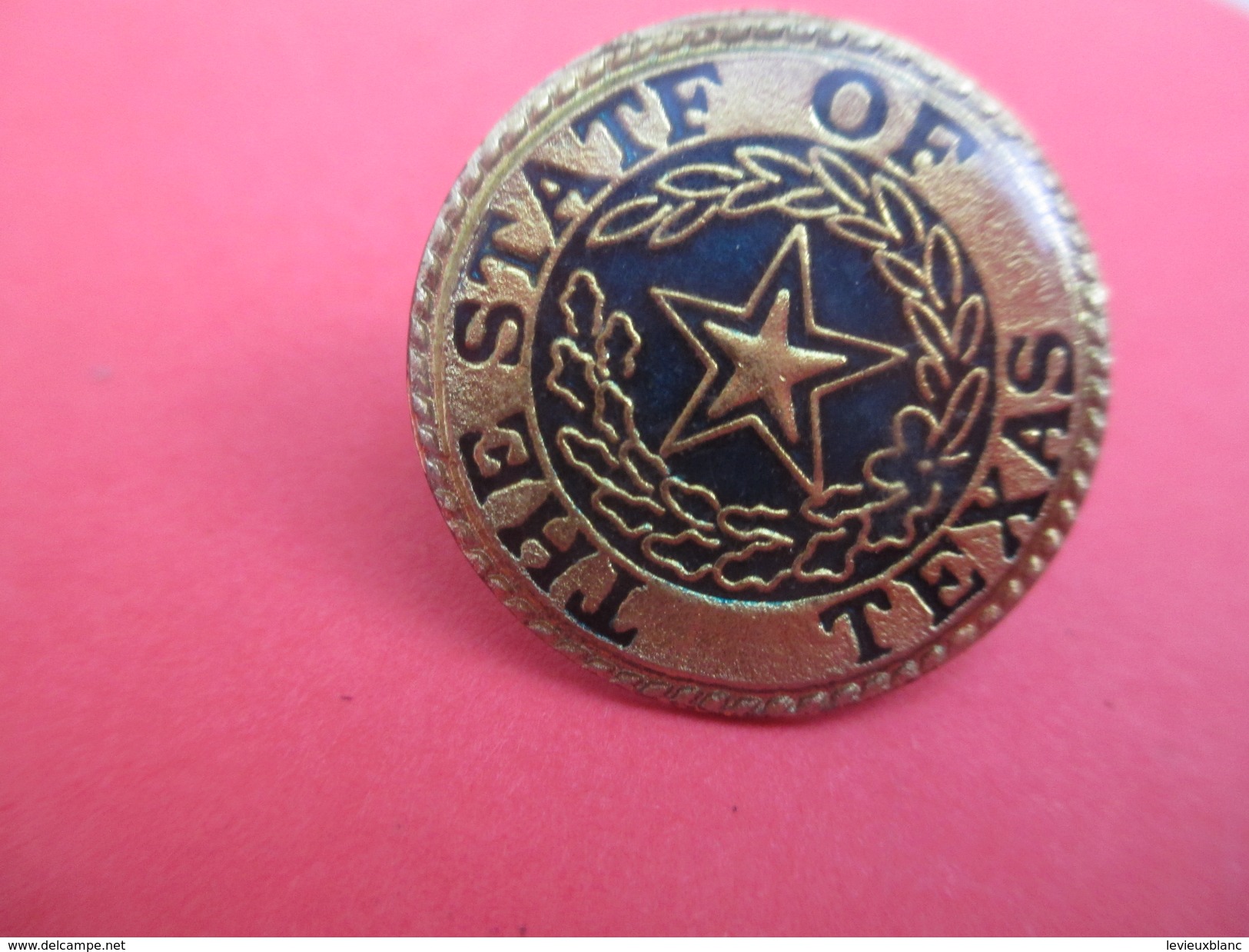 Pin's/USA/ The State Of TEXAS/Etoile / Fin XXéme Siécle                             Med170 - Estados Unidos