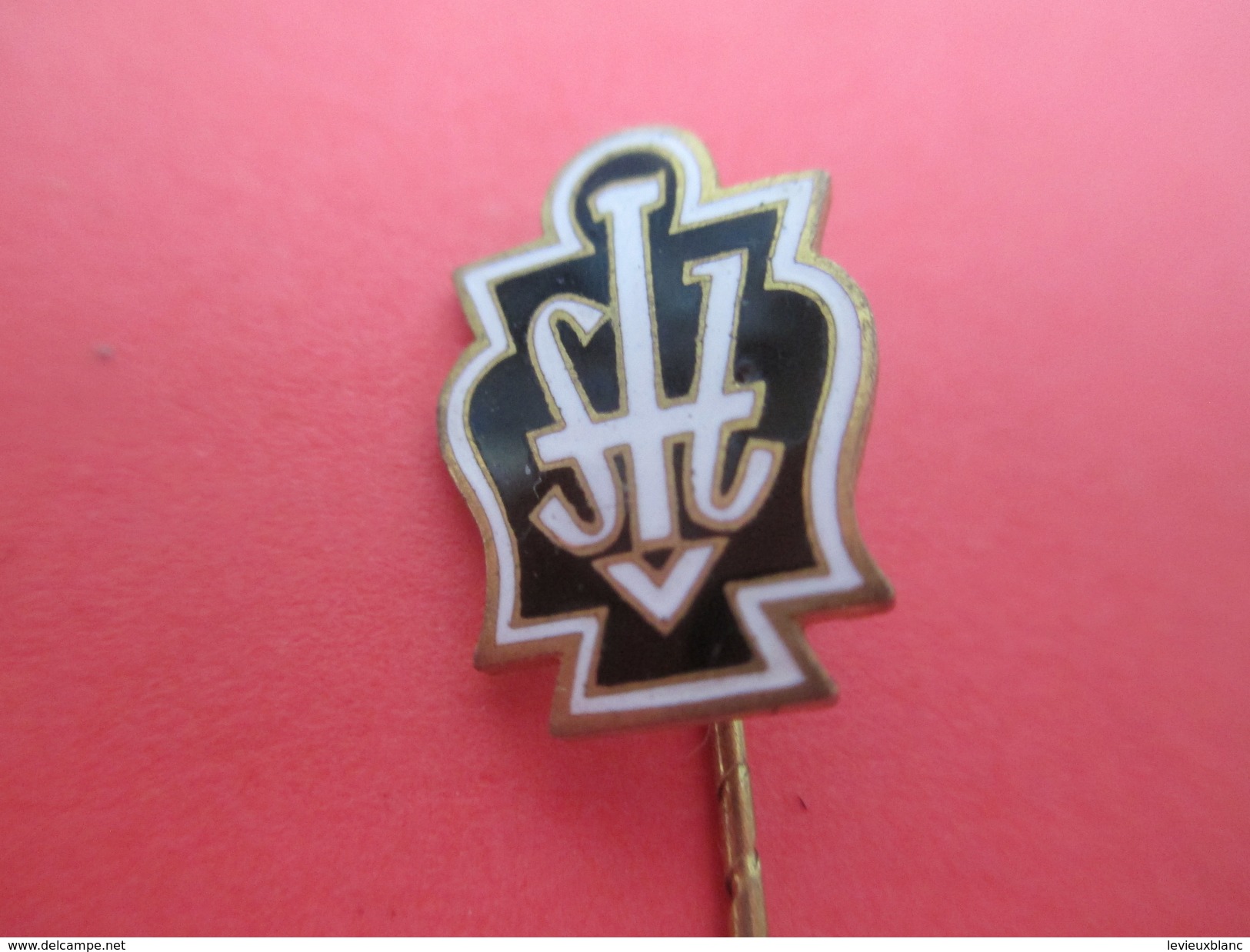 Epingle Associative / /S.I.J. ?  /Pélérinage ? / à Identifier/ Mi XXéme Siécle        Med173 - Francia