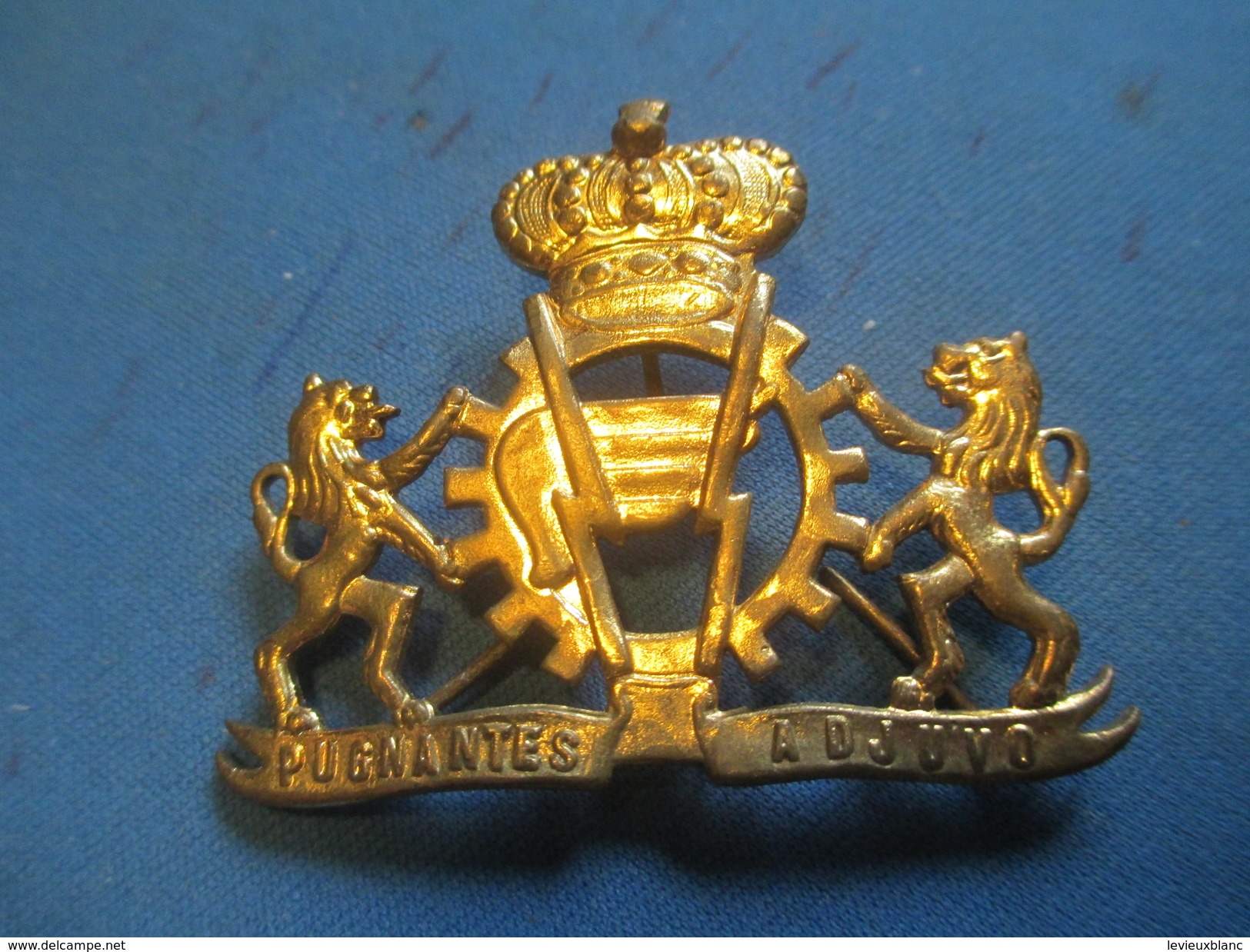 Insigne à épingle/ Belgique/Armée Belge Logistique /Pugnentes Adjuvo / Mi-XXéme Siécle      MED181 - Sonstige & Ohne Zuordnung