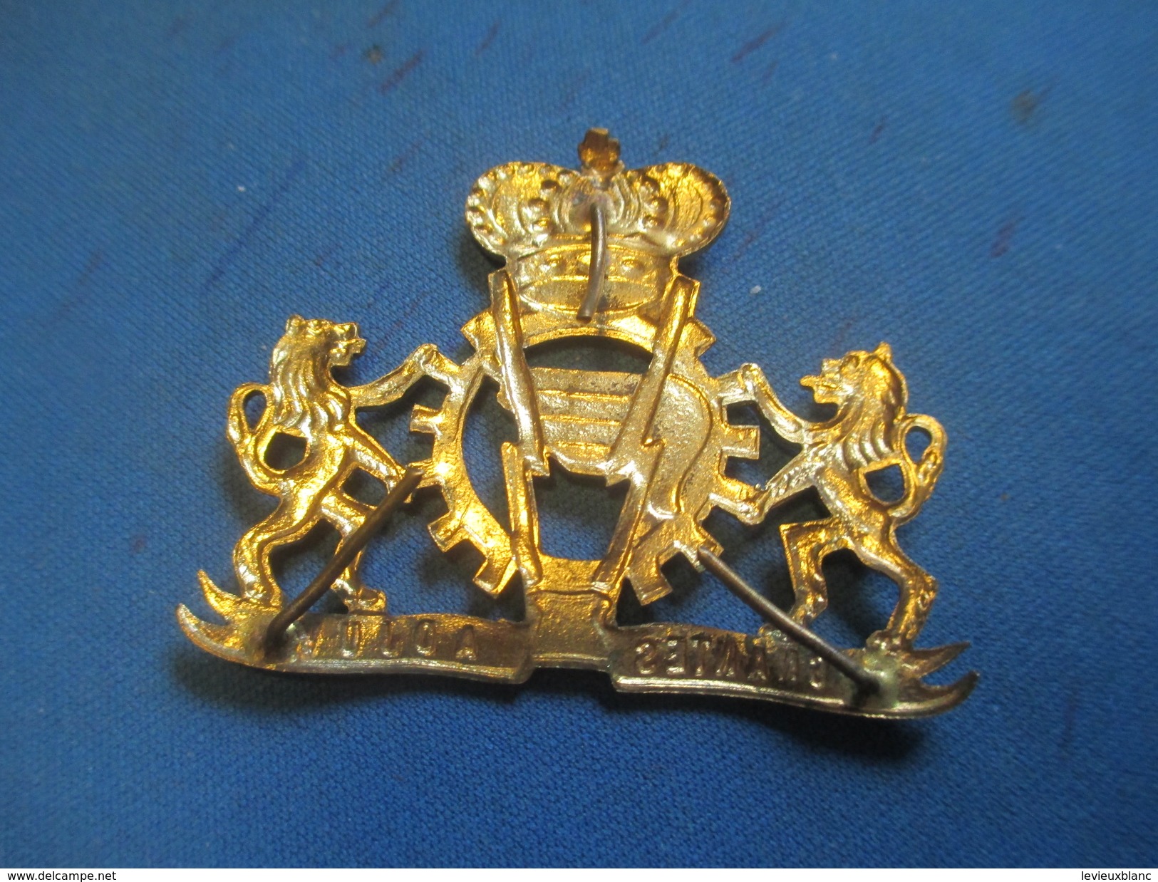 Insigne à épingle/ Belgique/Armée Belge Logistique /Pugnentes Adjuvo / Mi-XXéme Siécle      MED181 - Sonstige & Ohne Zuordnung