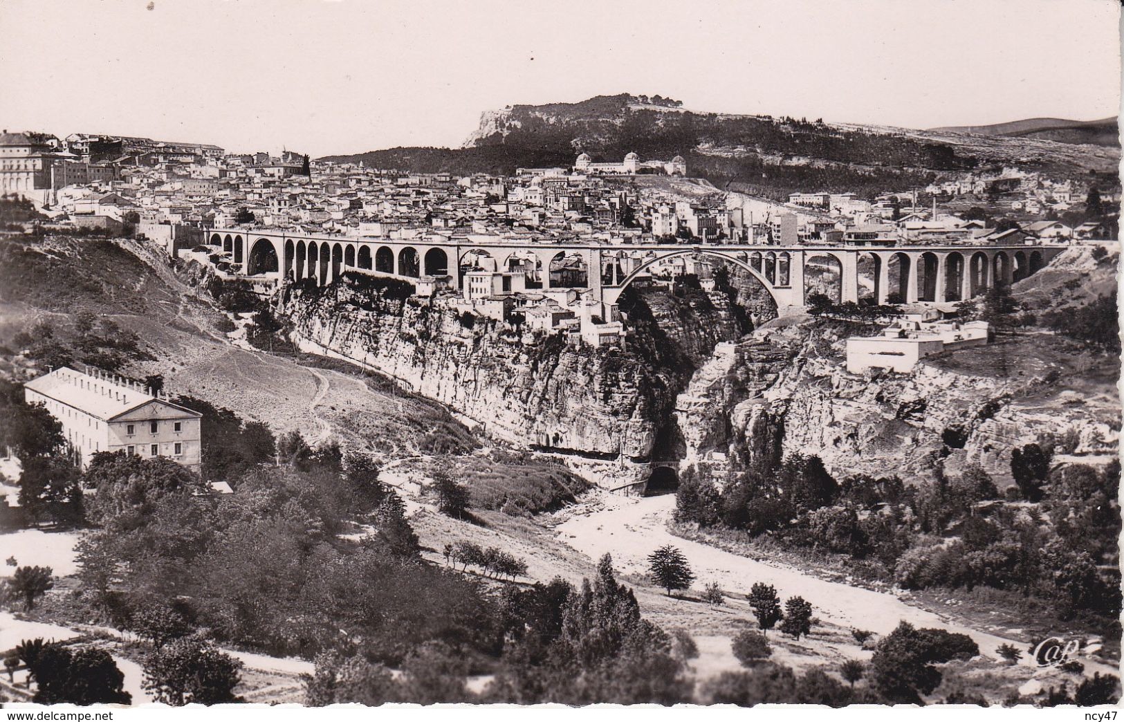 CPSM/pf  CONSTANTINE (Algérie) ..Panorama Vu De La Route De Sétif Et Le Pont Sidi Rached. ..C265 - Constantine