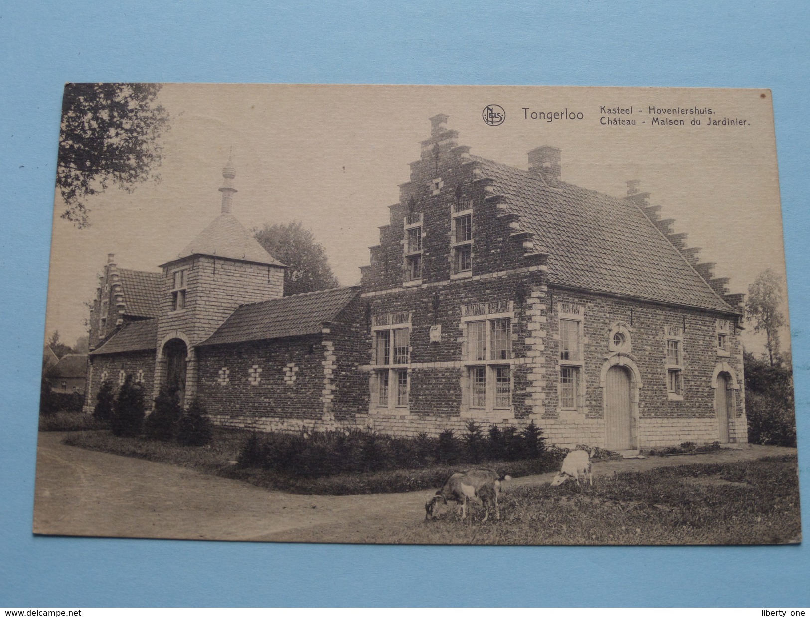 Kasteel - Hoveniershuis - Château - Maison Du Jardinier TONGERLOO ( Thill ) Anno 1923 ( Zie Foto Voor Details ) ! - Westerlo