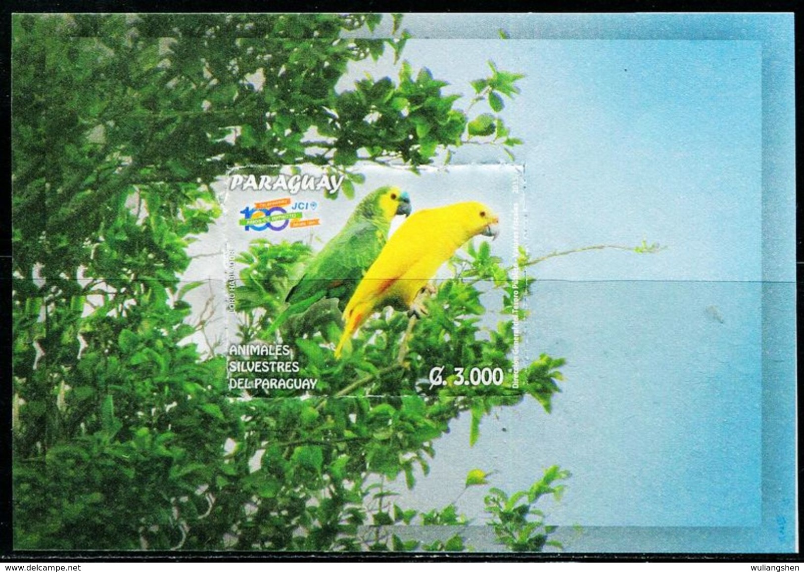 XD0519 Paraguay 2015 Bird Parrot M/S MNH - Other & Unclassified