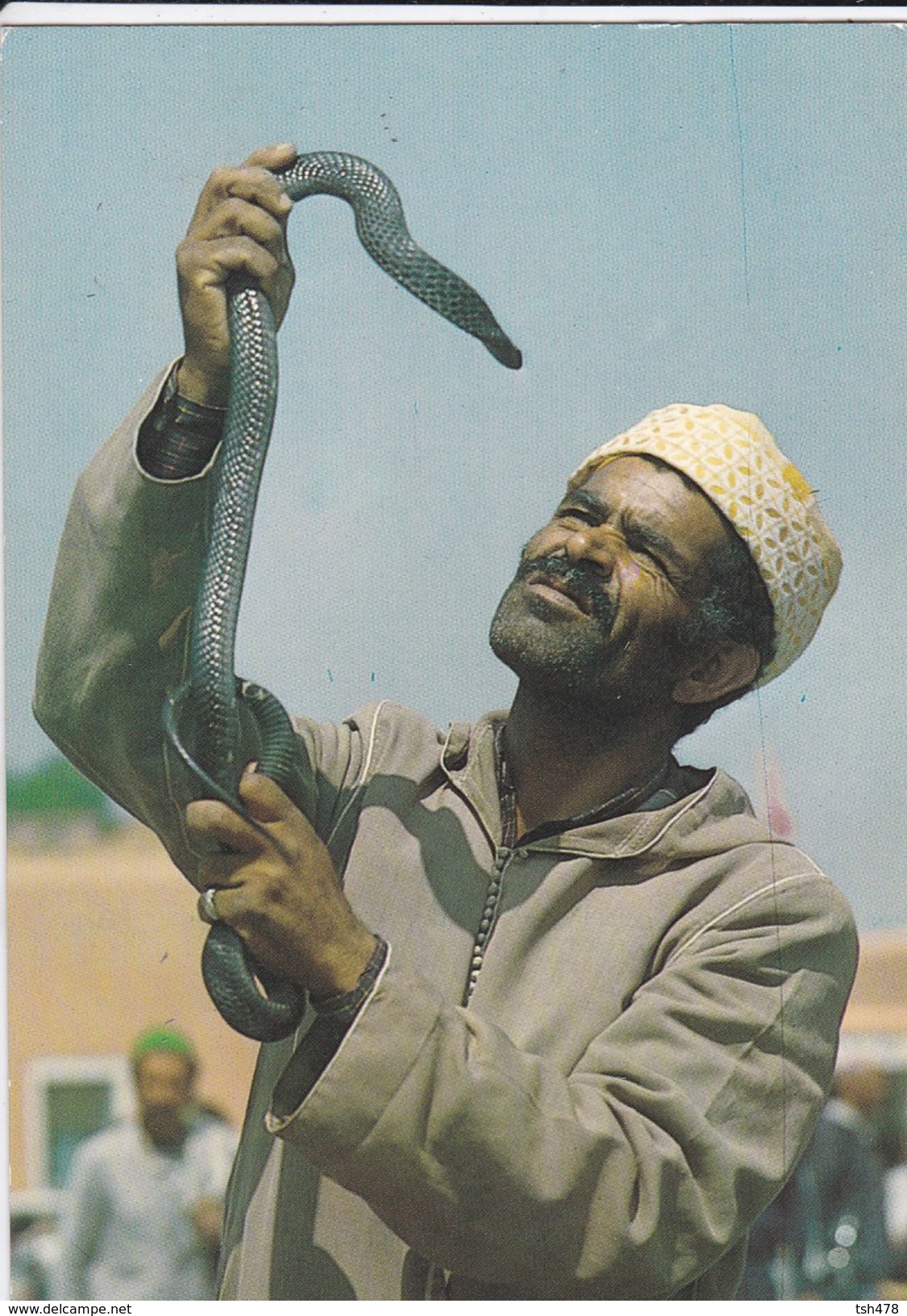 MAROC----MARRAKECH--charmeurs De Serpents---voir  2 Scans - Marrakech