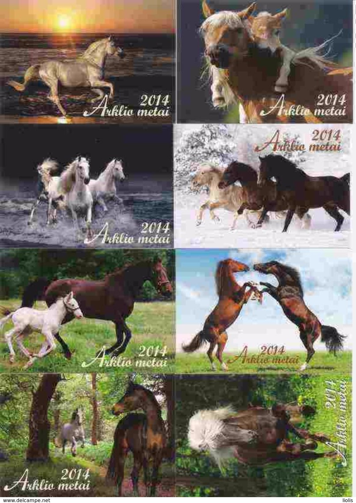 8 Packet Calendars  HORSES  Lithuania  2014 - Tamaño Pequeño : 2001-...