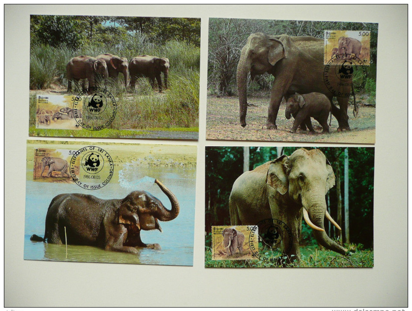 WWF Sri Lanka Ceylon Elephant Elefant Oliphant 1986 CM MC MK Maxi Card Carte Maximum Maxicards Maximumkarten - Maximumkarten