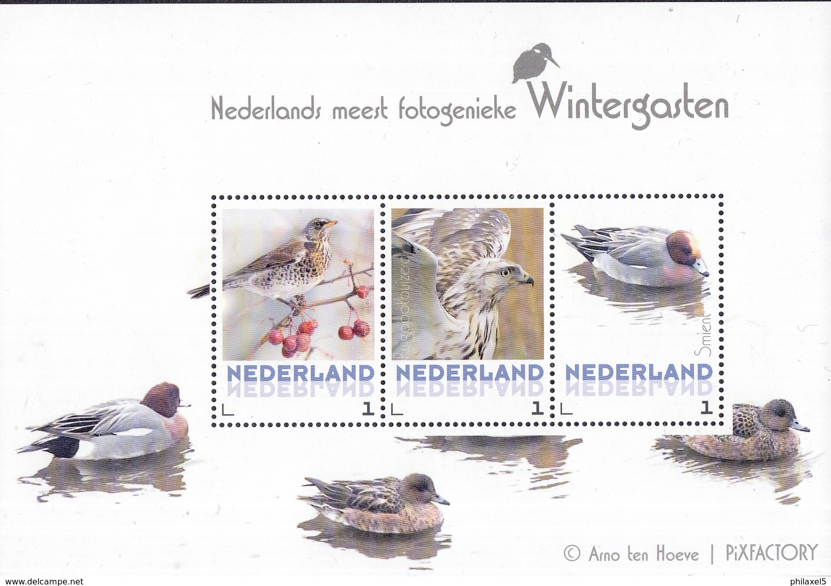 Themaboek PostNL &ndash; Vogels - Birds/Vögel/ Oiseaux - Jaar Van Uitgifte 2017 - Inclusief Zegels - Other & Unclassified