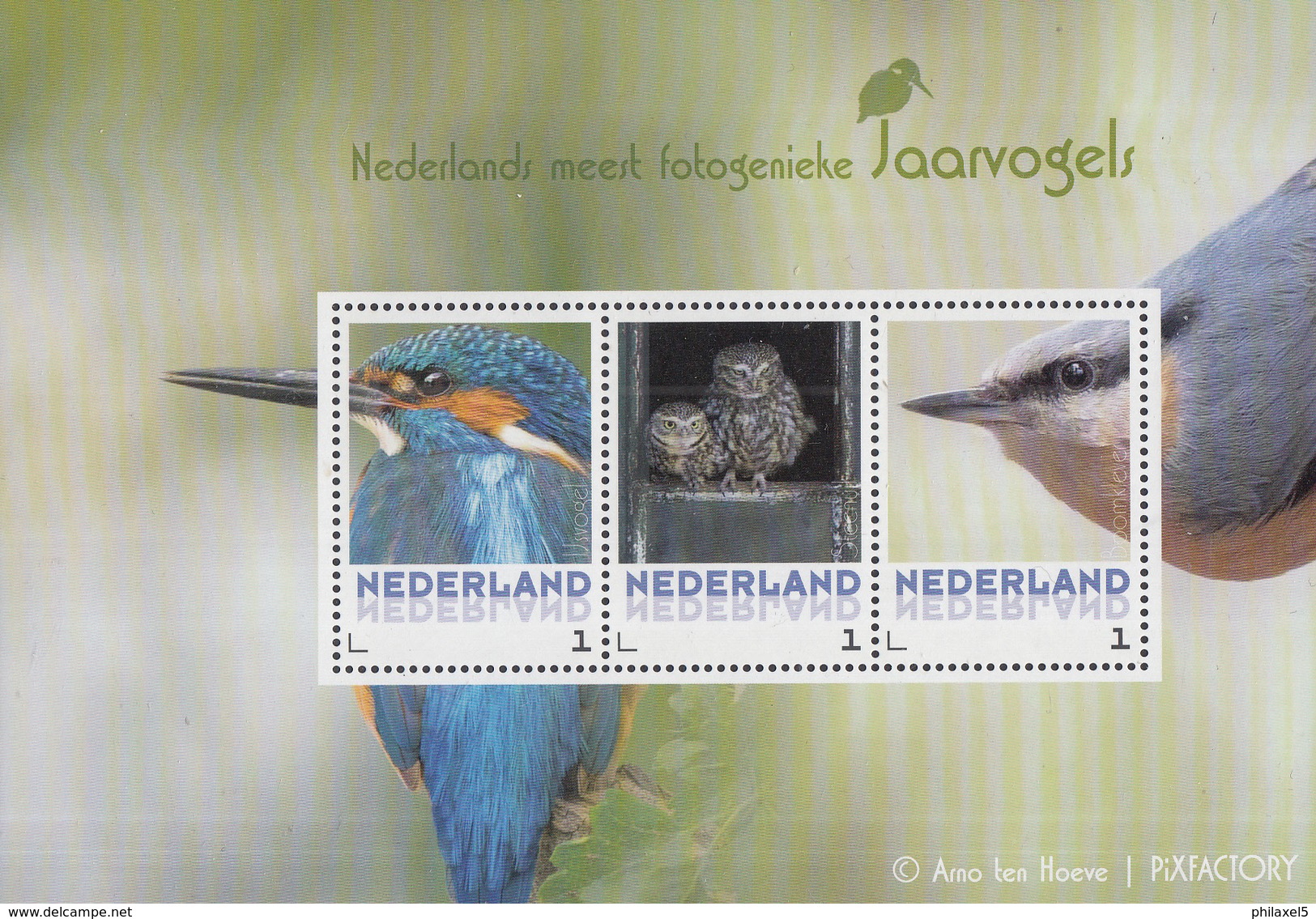 Themaboek PostNL &ndash; Vogels - Birds/Vögel/ Oiseaux - Jaar Van Uitgifte 2017 - Inclusief Zegels - Other & Unclassified