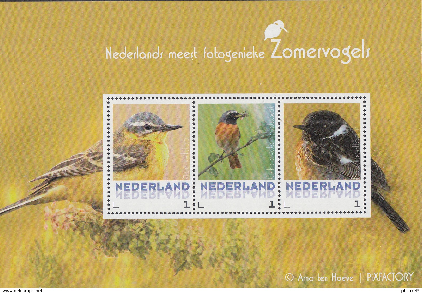 Themaboek PostNL &ndash; Vogels - Birds/Vögel/ Oiseaux - Jaar Van Uitgifte 2017 - Inclusief Zegels - Andere & Zonder Classificatie