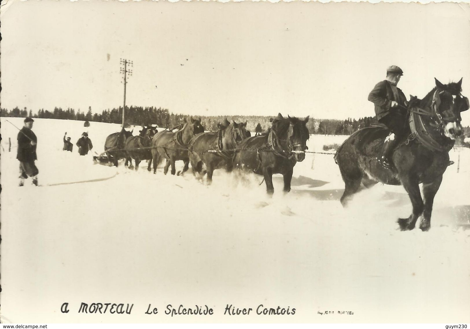 MORTEAU Le Splendide Hiver Comtois( Attelage De Chevaux) - Autres & Non Classés