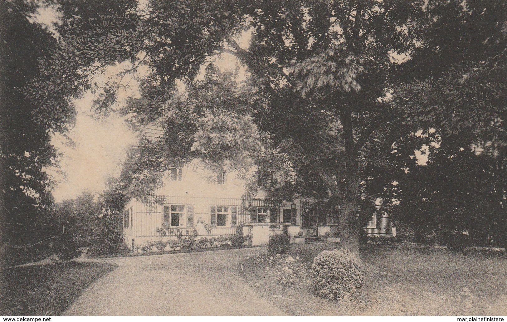 CPA. Allemagne.- Rittergut Schloss Deulowitz Bei Guben. Phot. H. Rosenthal, Guben. - Guben