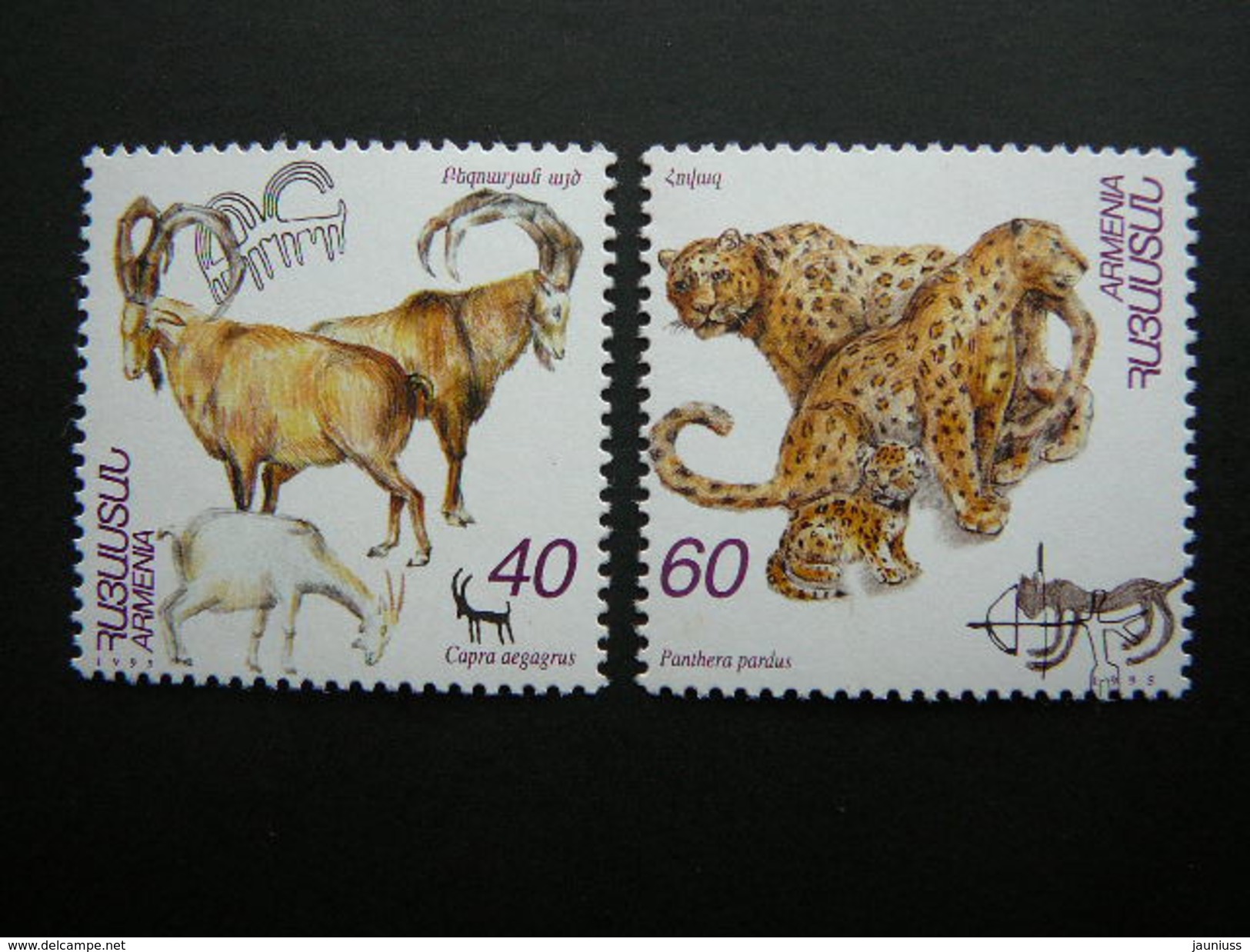 Wild Goats.Leopards. Armenia 1996 ** MNH # Mi. 286/7 Wild Animals. - Armenia