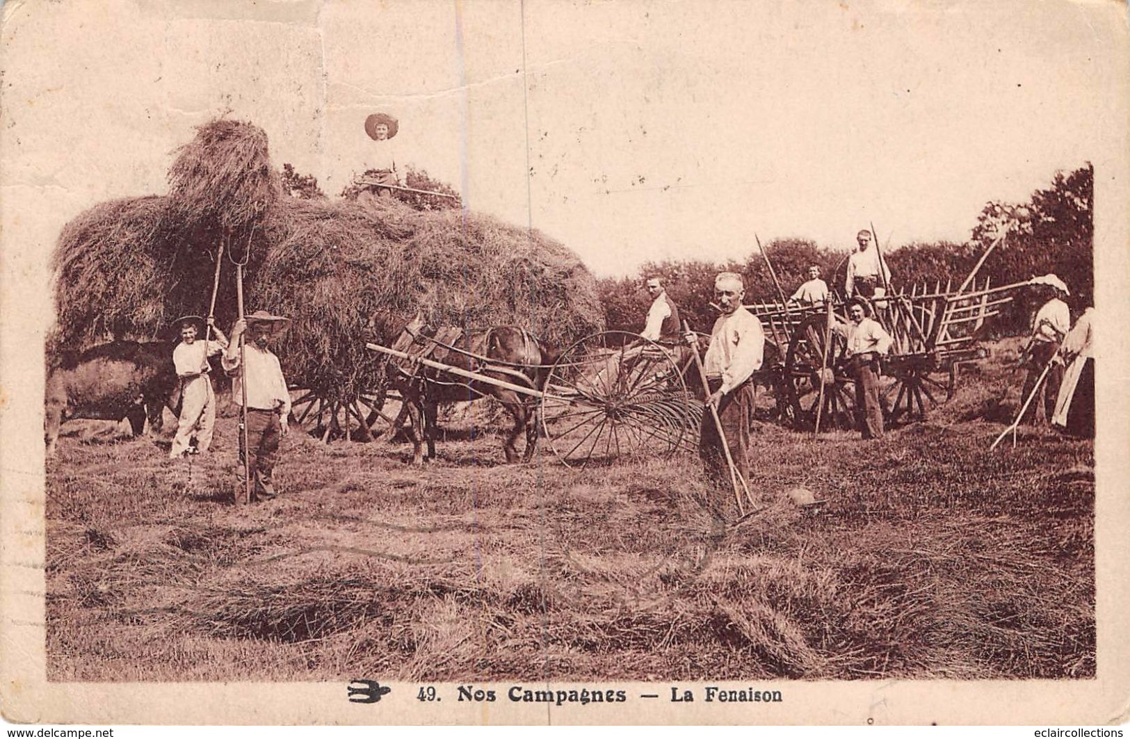 Thème: Agriculture. Battage. Moisson:  La Fenaison    ( Pli Voir Scan) - Cultures