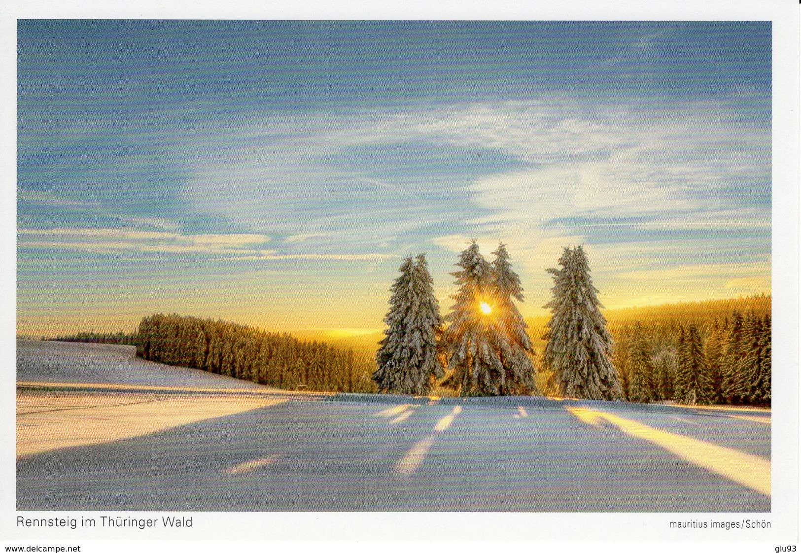 CPM - Rennsteig Im Thüringer Wald- Allemagne - Port Gratuit - Freies Verschiffe - Autres & Non Classés