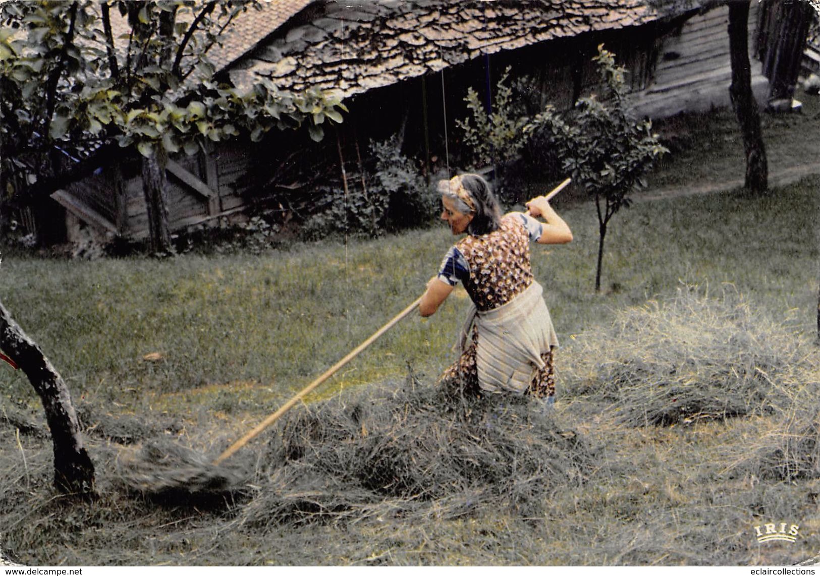 Thème: Agriculture. Battage. Moisson: Récolte Des Foins  Années 1970 10 X  15     (voir Scan) - Fermes