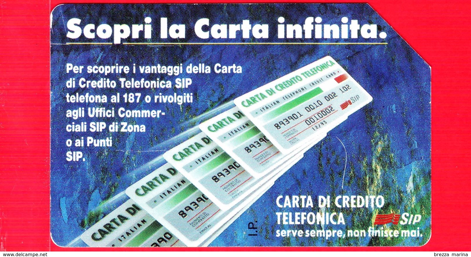 ITALIA - Scheda Telefonica - Usata - SIP - Carta Infinita Tipo B - Golden 117 - C&C 1210 - 10.000 - 30.06.93 - Man - Pubbliche Ordinarie