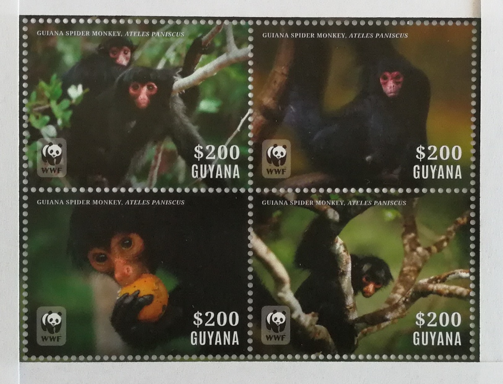 Guyana 2014** MI.8816-19. MNH [16;27] - Apen
