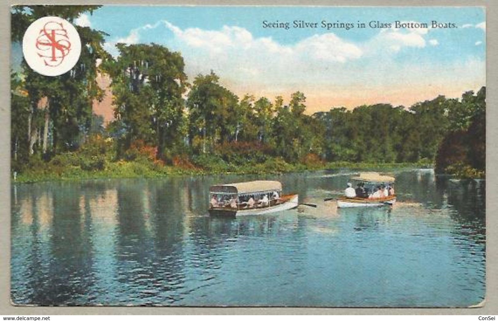 Silver Springs In Glass Bottom Boats, Ocala Florida. Curt Teich Postcard 1910s. 0022170920 - Silver Springs