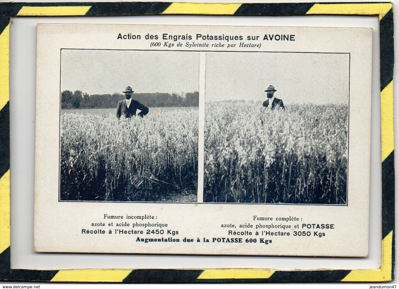 ACTION DES ENGRAIS POTASSIQUES SUR TABAC . - . + 3 AUTRES CARTES : VIGNE, AVOINE, CARDONS. - Publicité