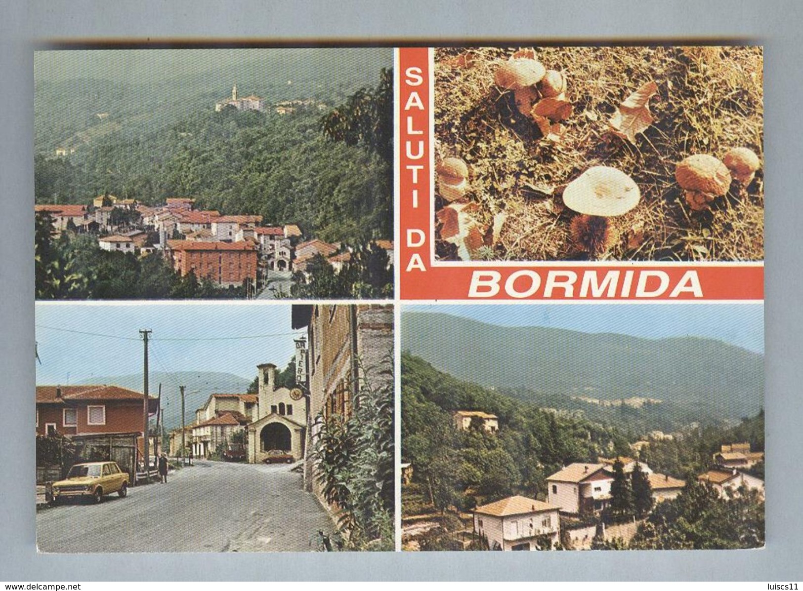 BORMIDA..VEDUTINE..FUNGHI...SAVONA...LIGURIA - Altri & Non Classificati