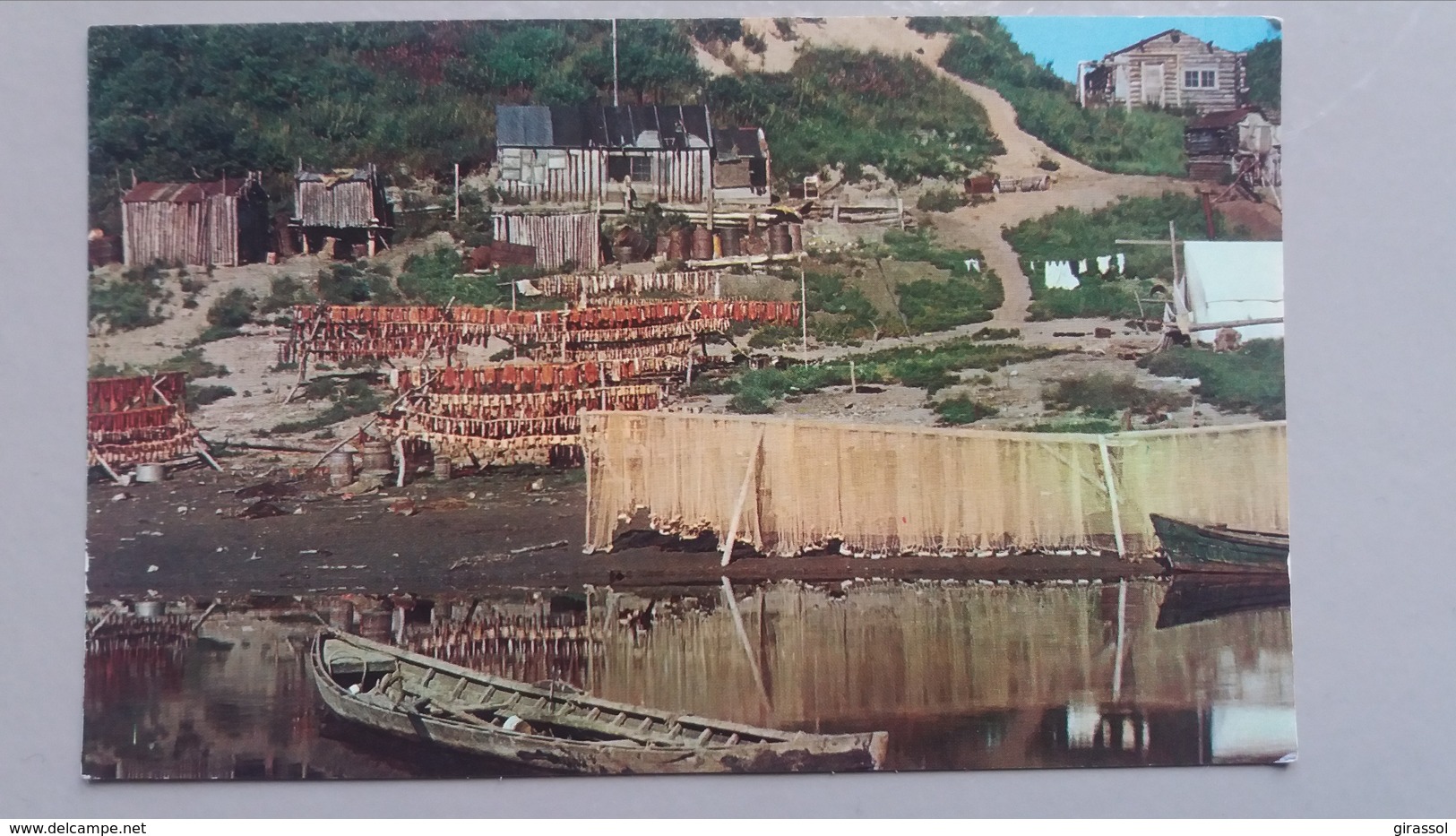 CPSM ALASKA DRYING SALMON PICTURESQUE VIEW OF A FISHING VILLAGE - Autres & Non Classés