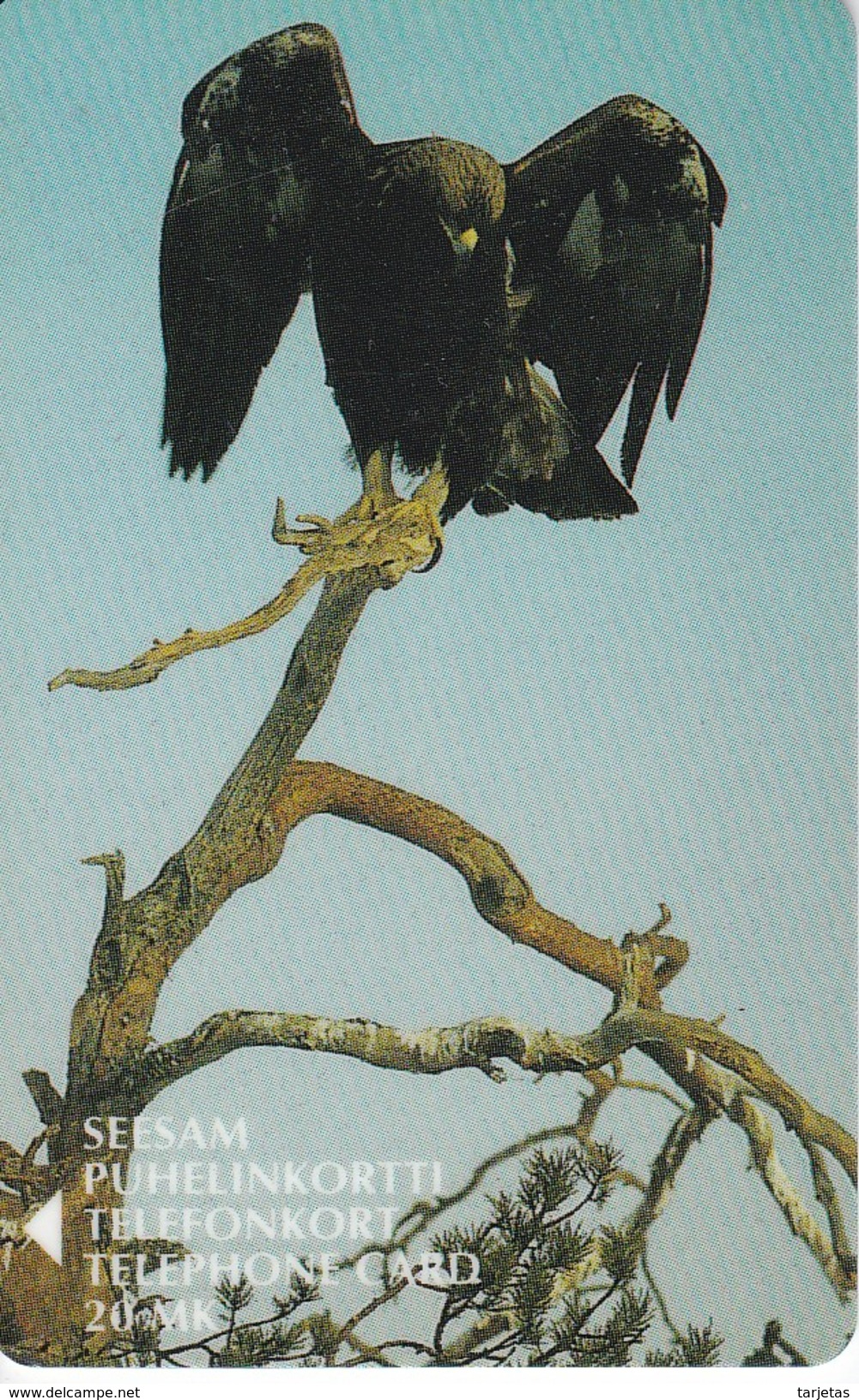 TARJETA DE FINLANDIA DE UN AGUILA (BIRD-EAGLE-PAJARO) - Águilas & Aves De Presa