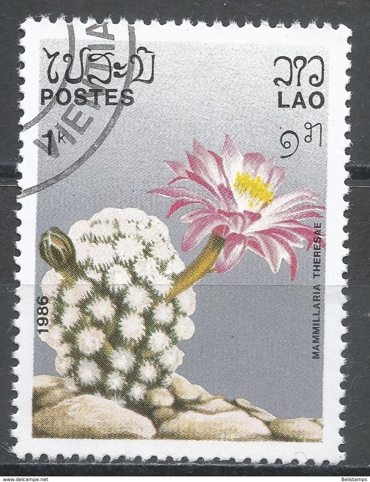 Laos 1986. Scott #746 (U) Mammillaria Matudae, Cacti, Cactus * - Laos