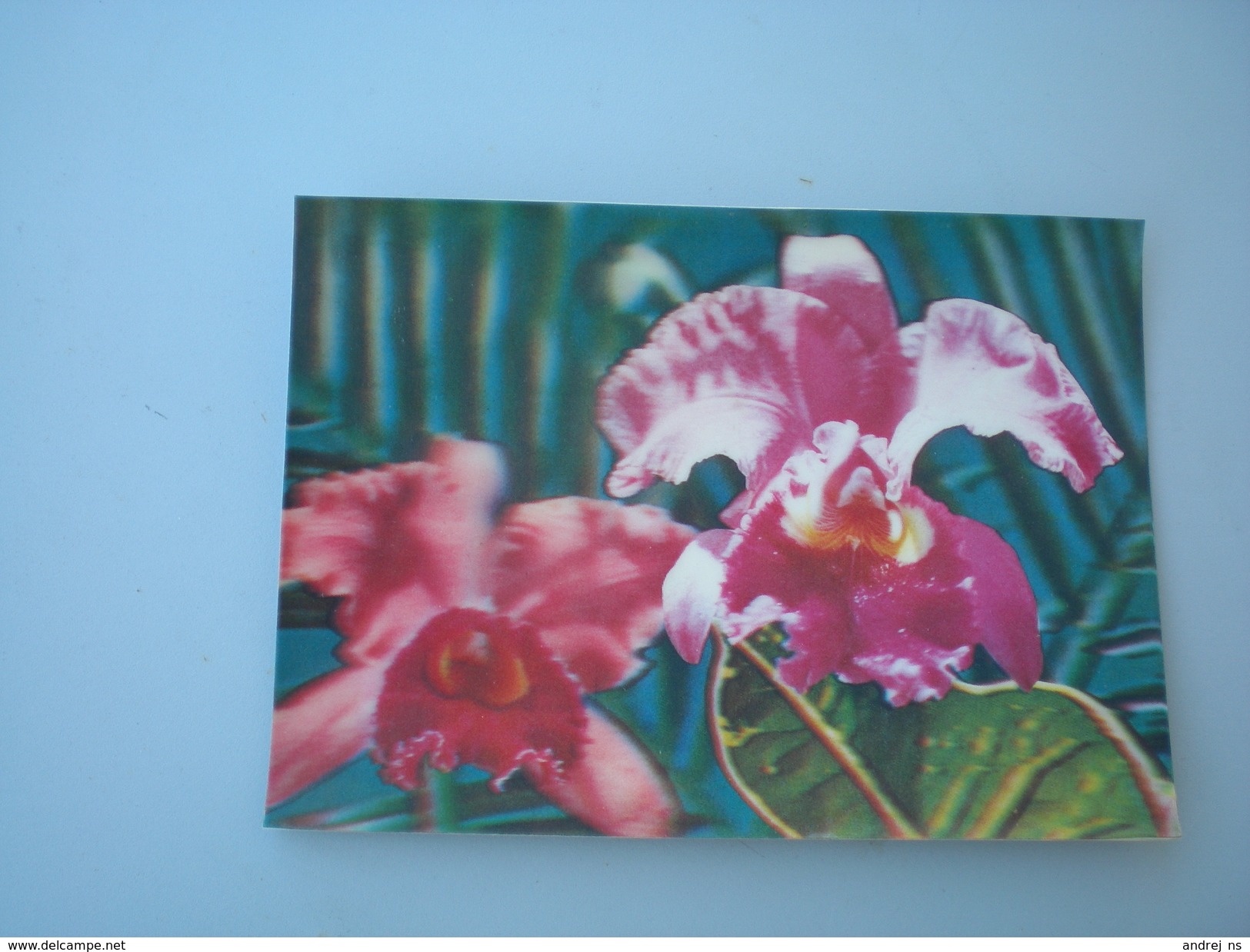 3D Postcards Flowers - Fiori