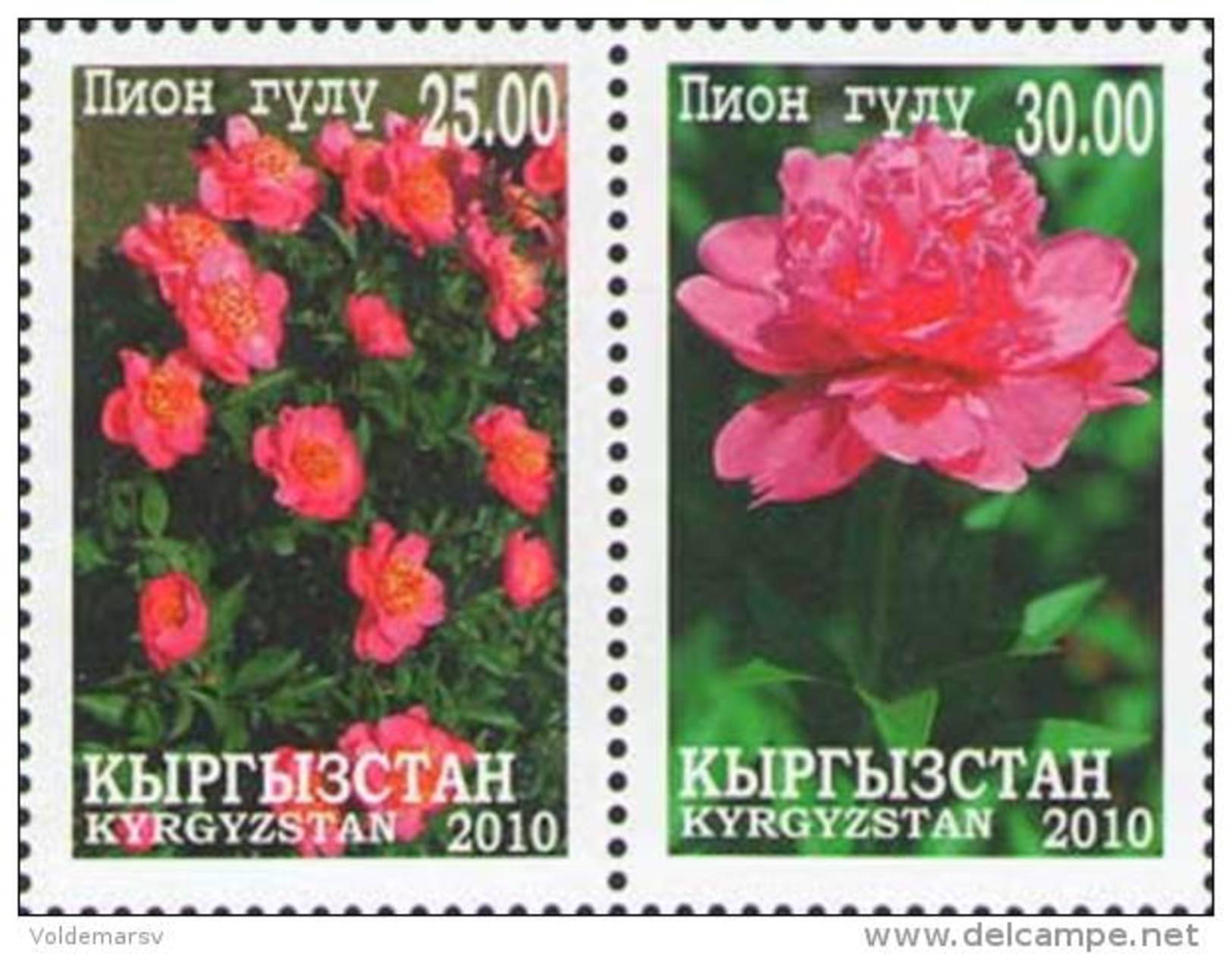 Kyrgyzstan 2010 Mih. 613/14 Flowers. Peonies MNH ** - Kirghizistan